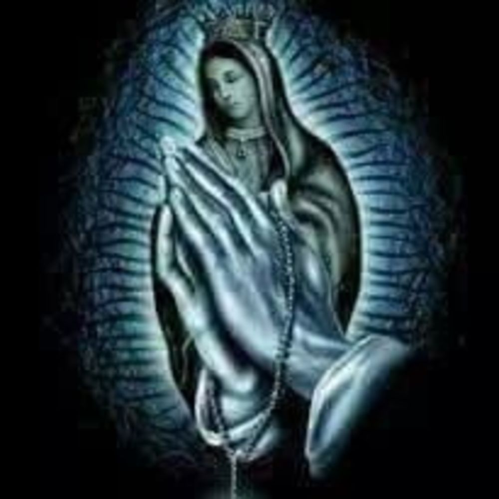 Meet your Posher, Claudia